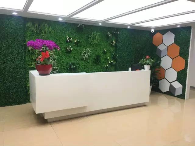 公司前臺擺放什么植物好？